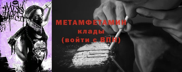 сатива Кулебаки