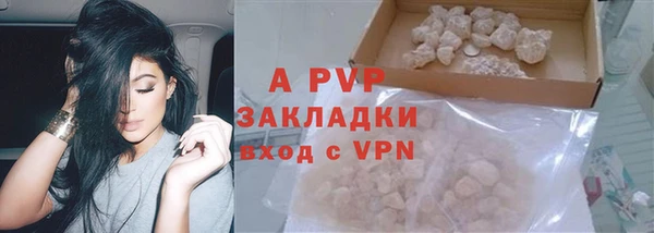 сатива Кулебаки
