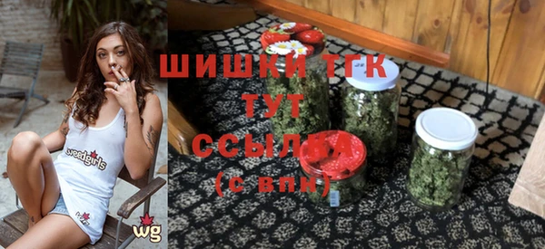 сатива Кулебаки