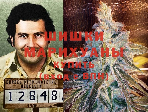 сатива Кулебаки