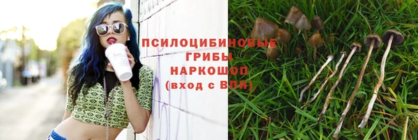 скорость Новый Уренгой
