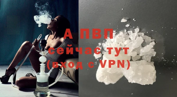 сатива Кулебаки