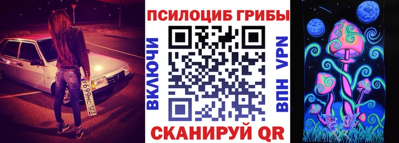 где найти наркотики  Медвежьегорск  mega вход  Псилоцибиновые грибы Cubensis 